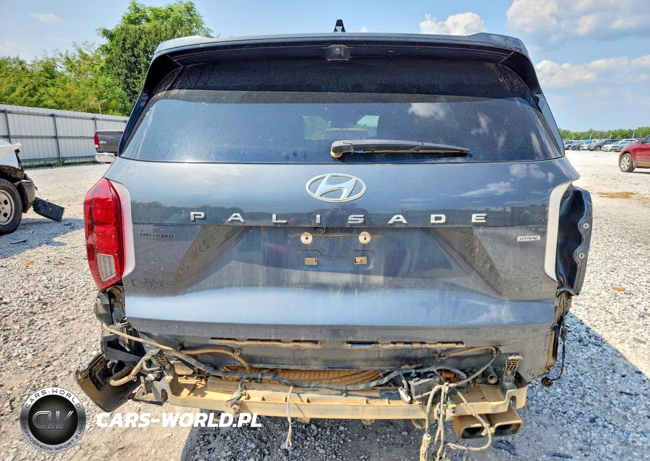 2023 Hyundai Palisade Calligraphy VIN:KM8R7DGE4PU639573 - 6