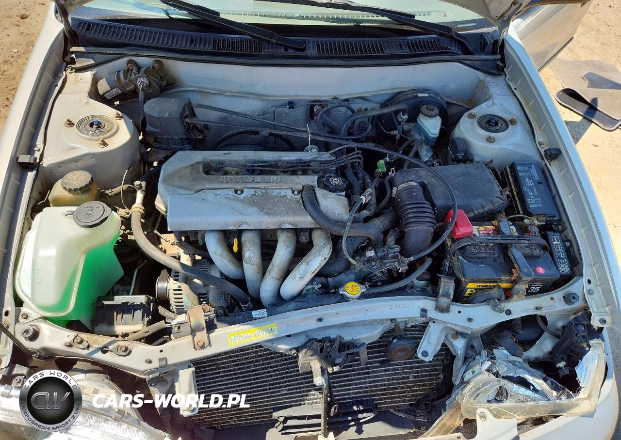 1999 Toyota Corolla Ve VIN:1NXBR12E8XZ165077 - 11