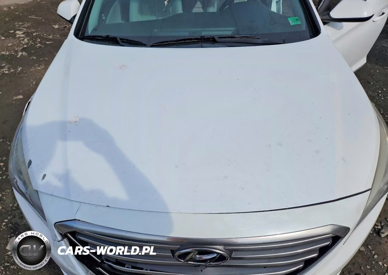 2016 Hyundai Sonata Se VIN:5NPE24AF2GH337728 - 11