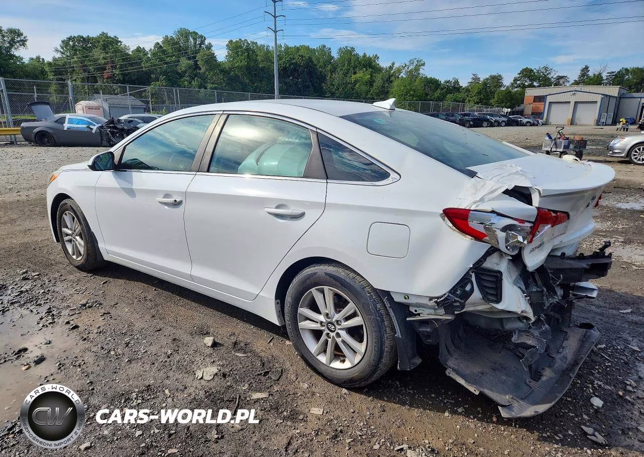 2016 Hyundai Sonata Se VIN:5NPE24AF2GH337728 - 2