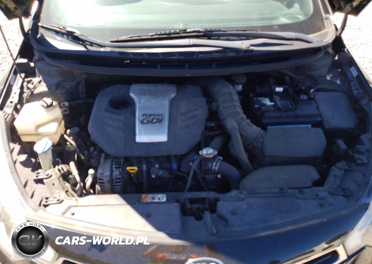 2015 Kia Forte Koup Sx VIN:KNAFZ6A38F5368589 - 11