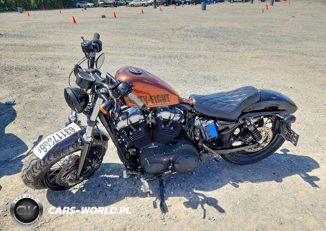 2014 Harley-Davidson Xl1200 Forty-Eight VIN:1HD1LC311EC400199 - 3
