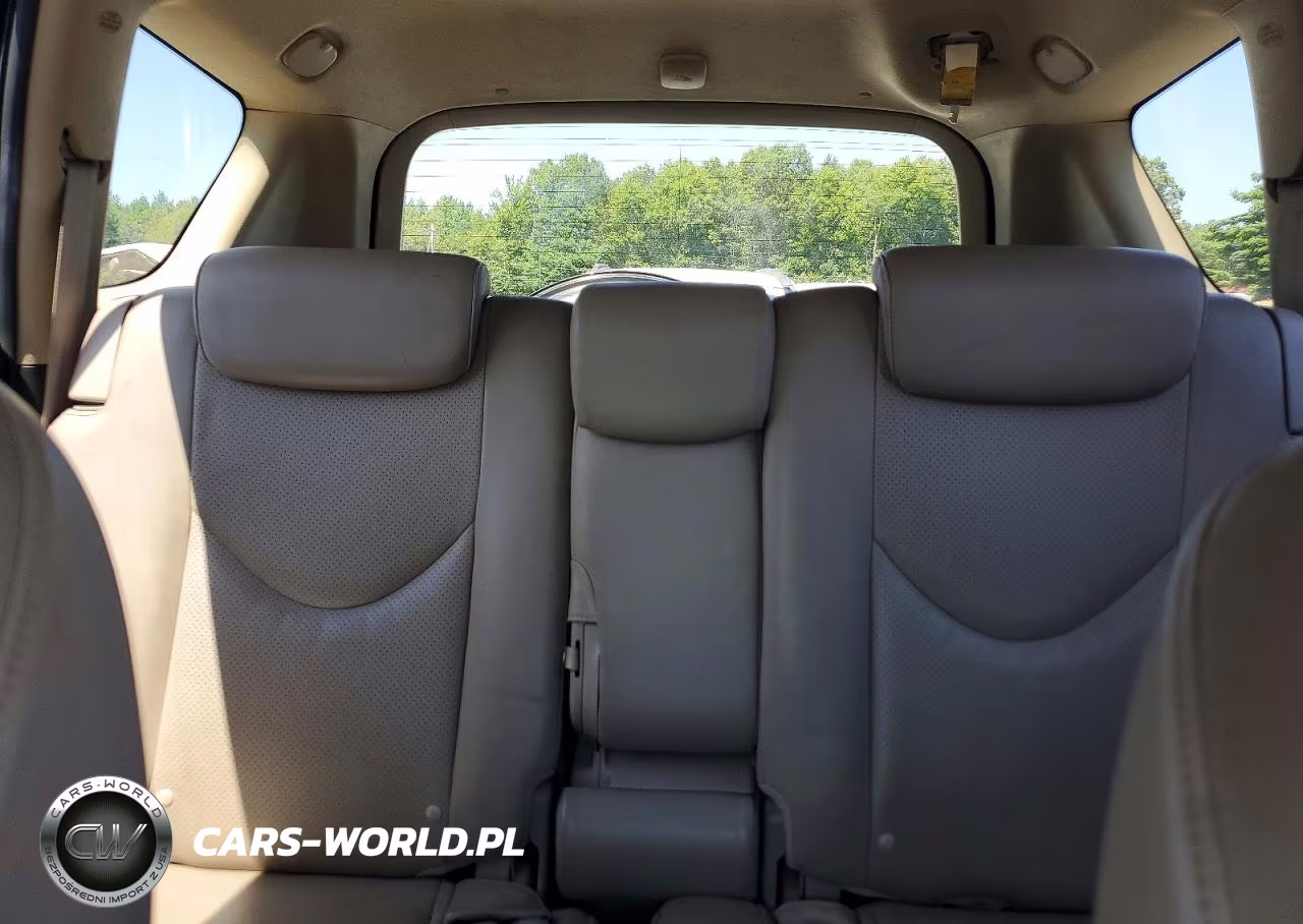 2007 Toyota Rav4 Limited VIN:JTMBK31V676015821 - 10
