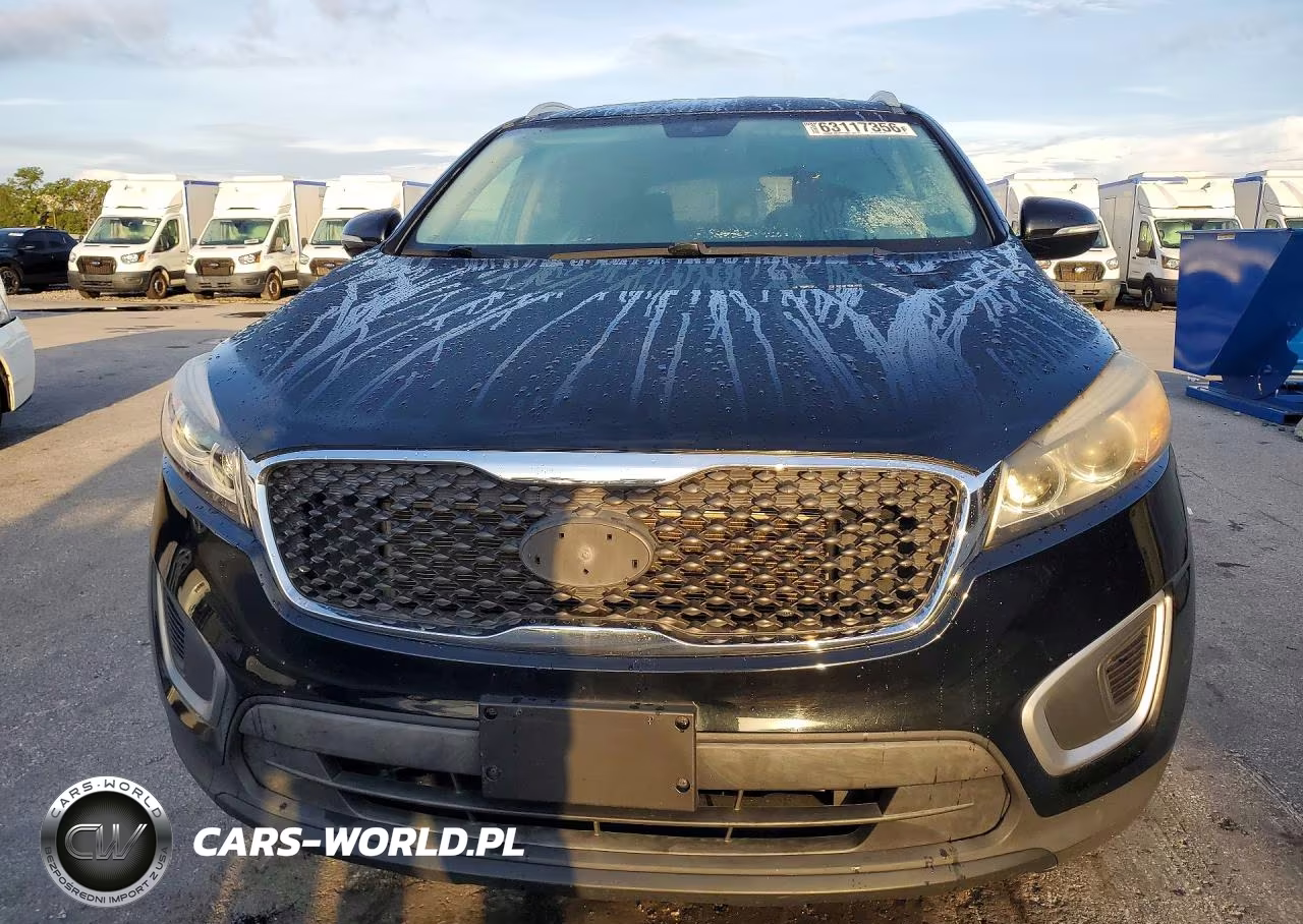 2016 Kia Sorento Lx VIN:5XYPG4A35GG064663 - 5