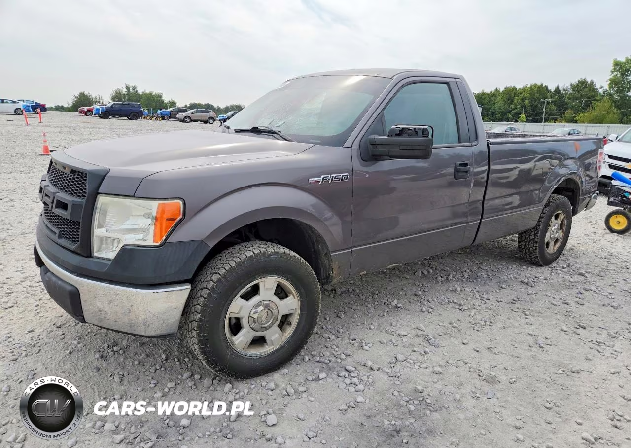 2010 Ford F150