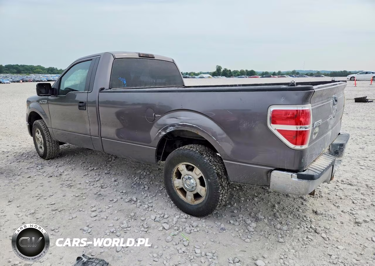 2010 Ford F150 VIN:1FTMF1CW5AKE25368 - 2