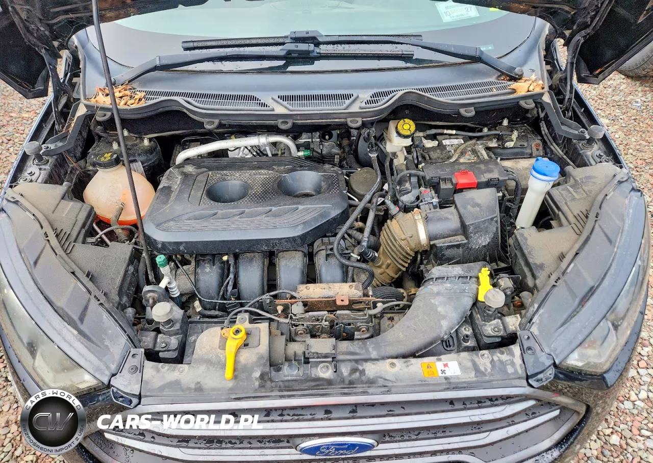 2018 Ford Ecosport VIN:MAJ6P1CL2JC242229 - 11
