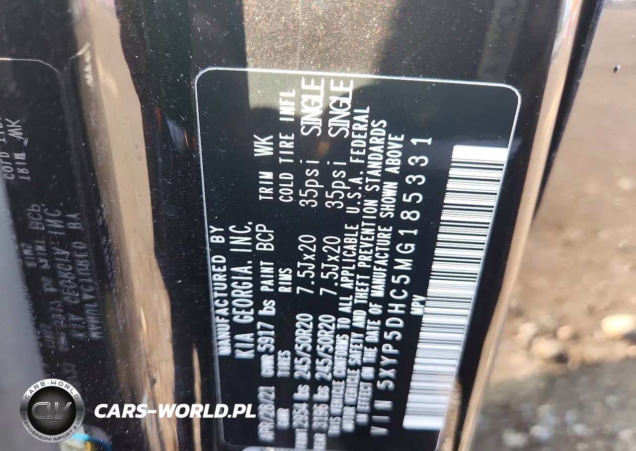 2021 Kia Telluride Sx VIN:5XYP5DHC5MG185331 - 13