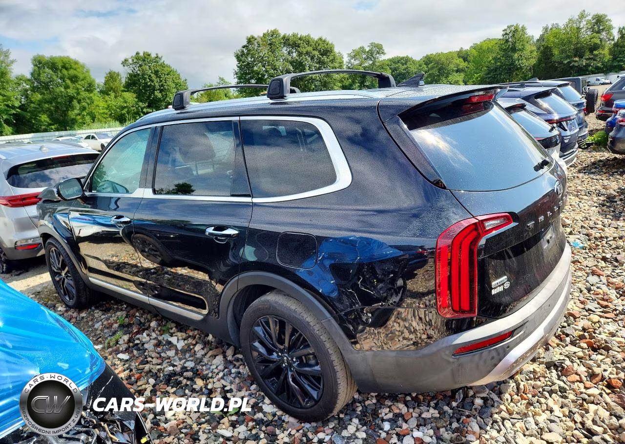 2021 Kia Telluride Sx VIN:5XYP5DHC5MG185331 - 2
