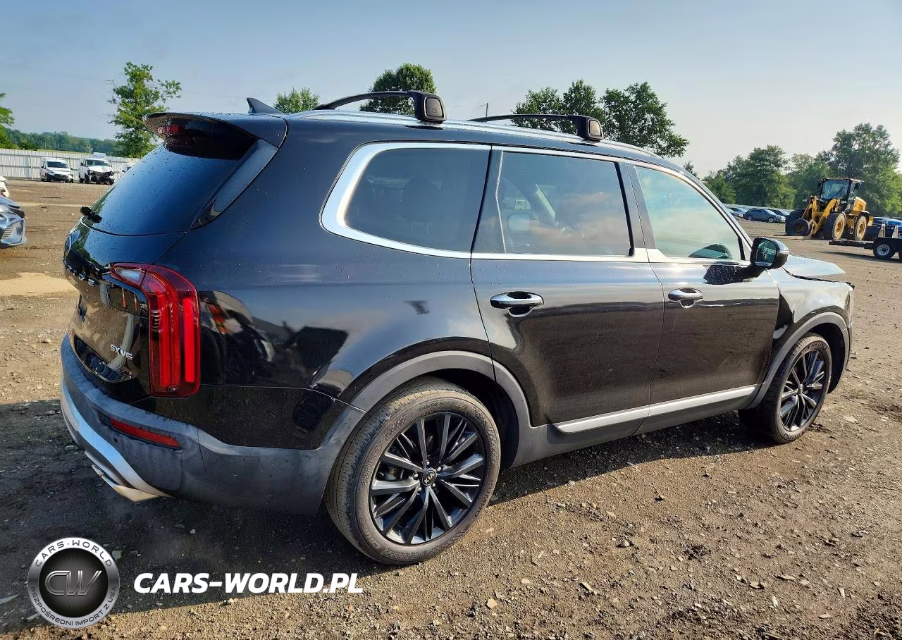 2021 Kia Telluride Sx VIN:5XYP5DHC5MG185331 - 3