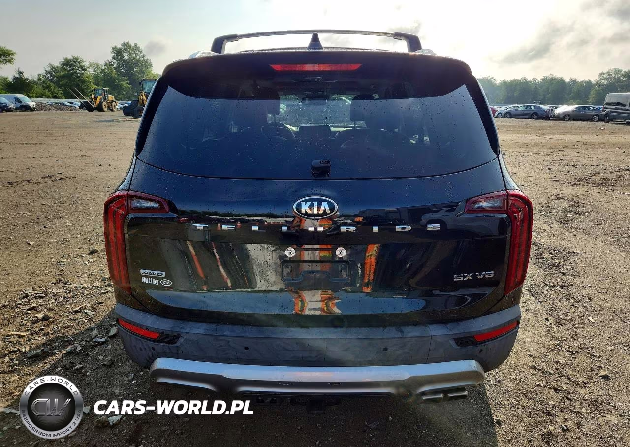2021 Kia Telluride Sx VIN:5XYP5DHC5MG185331 - 6