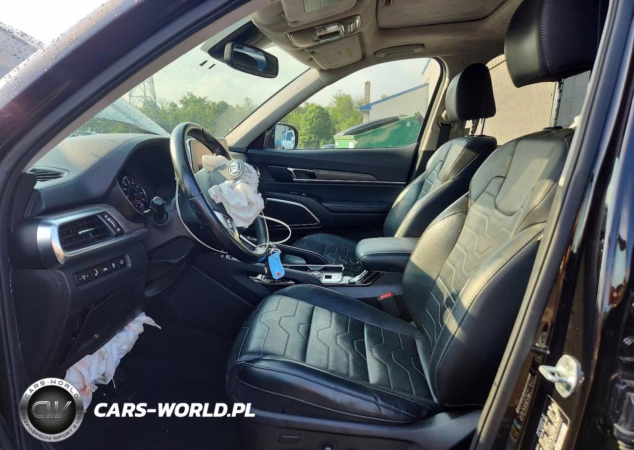 2021 Kia Telluride Sx VIN:5XYP5DHC5MG185331 - 7