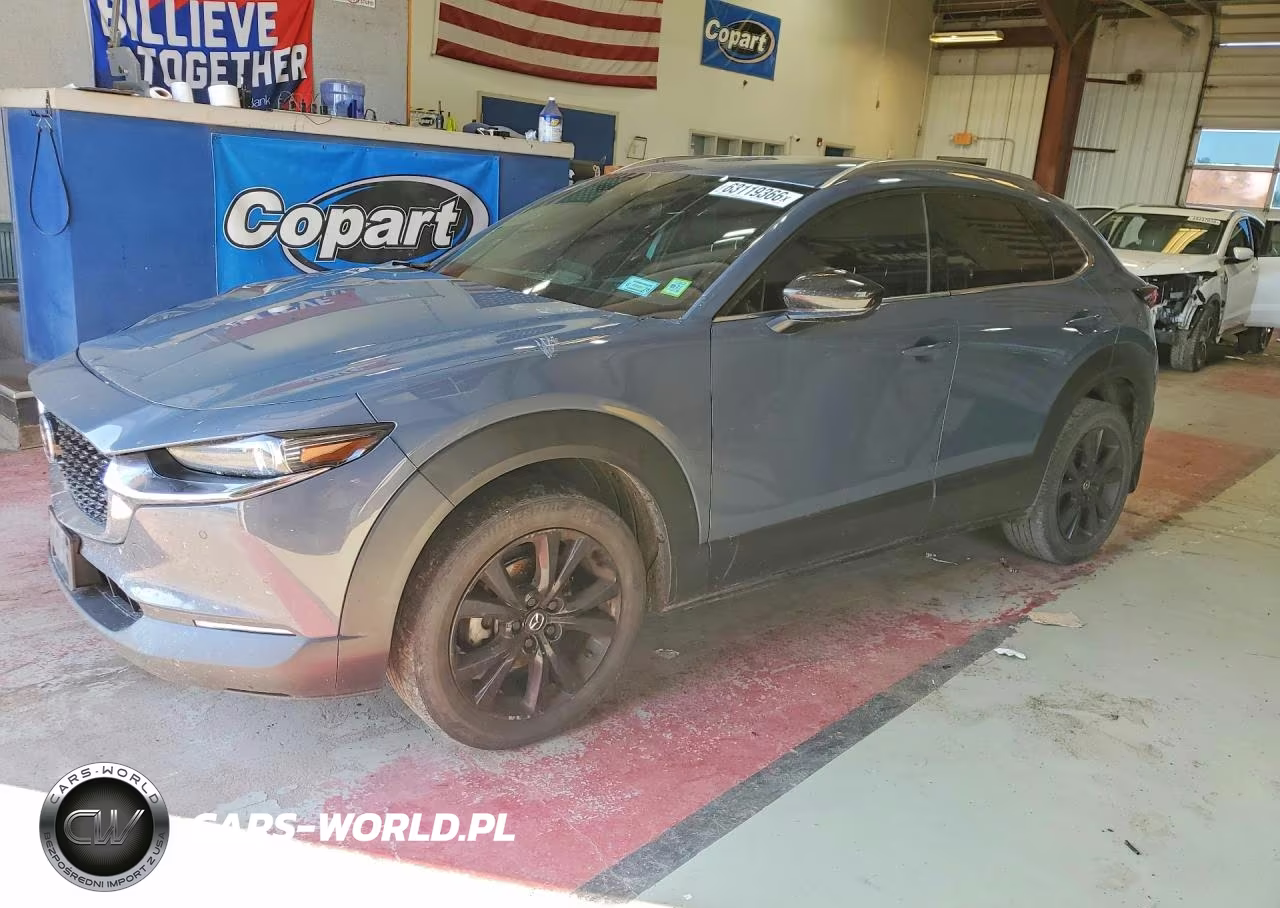 2021 Mazda Cx-30 Premium Plus VIN:3MVDMBEY7MM310129 - 1