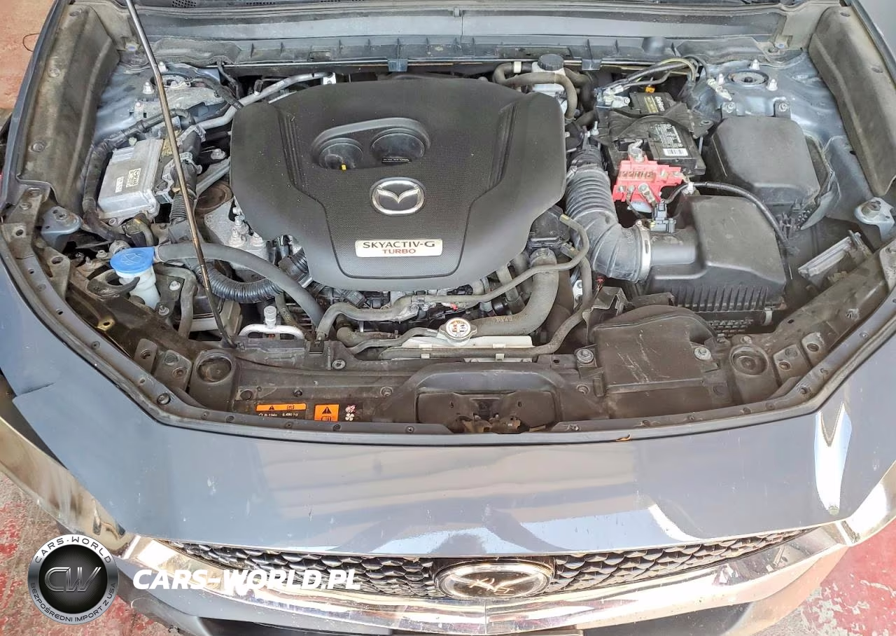 2021 Mazda Cx-30 Premium Plus VIN:3MVDMBEY7MM310129 - 11