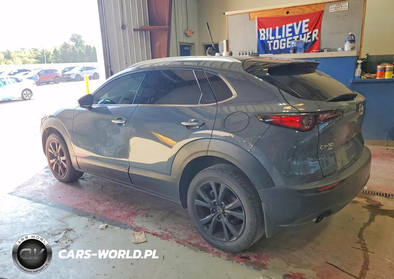 2021 Mazda Cx-30 Premium Plus VIN:3MVDMBEY7MM310129 - 2