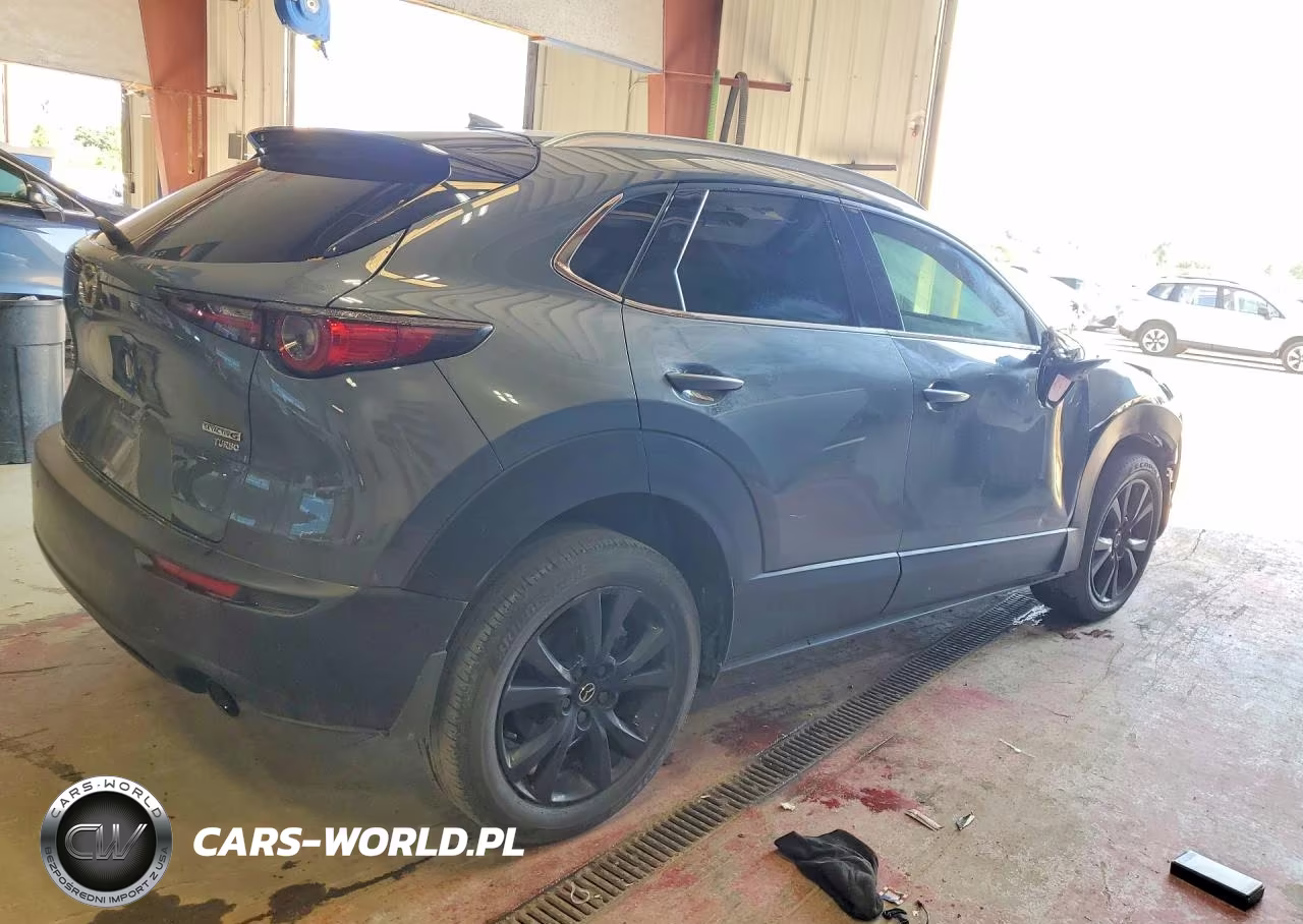 2021 Mazda Cx-30 Premium Plus VIN:3MVDMBEY7MM310129 - 3