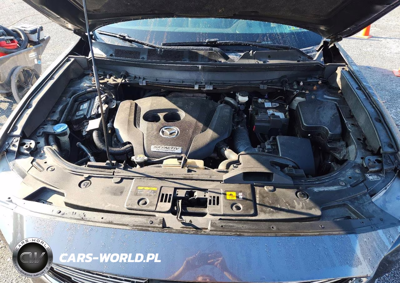 2016 Mazda Cx-9 Signature VIN:JM3TCBEY1G0111964 - 12