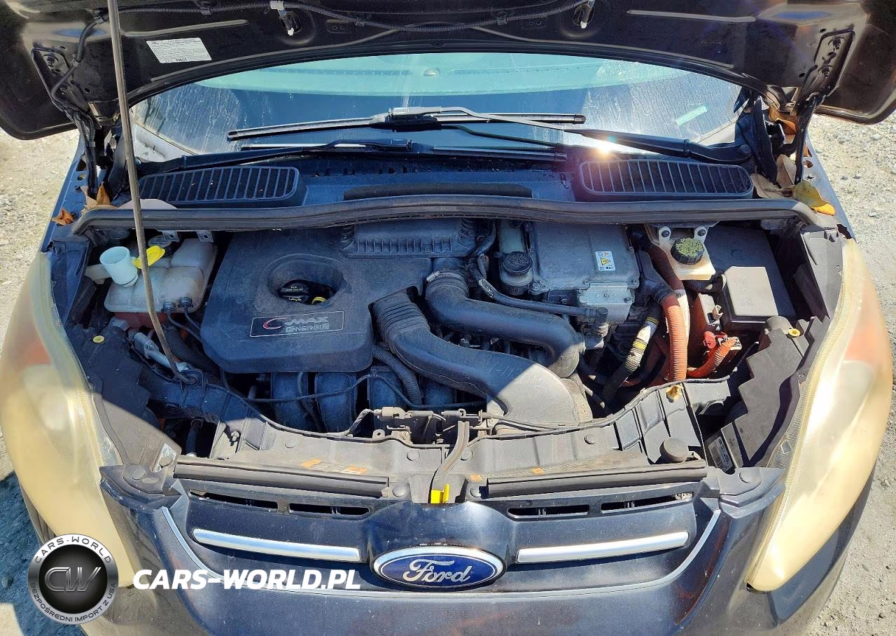 2013 Ford C-Max Premium VIN:1FADP5CU7DL515435 - 11