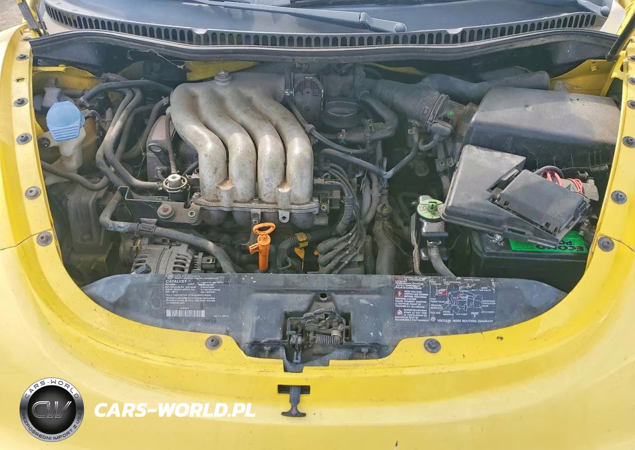 2002 Volkswagen New Beetle Gls VIN:3VWCB21CX2M450375 - 11