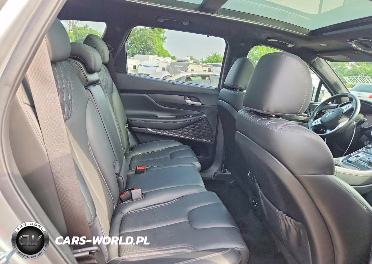 2021 Hyundai Santa Fe Calligraphy VIN:5NMS5DAL7MH365646 - 11