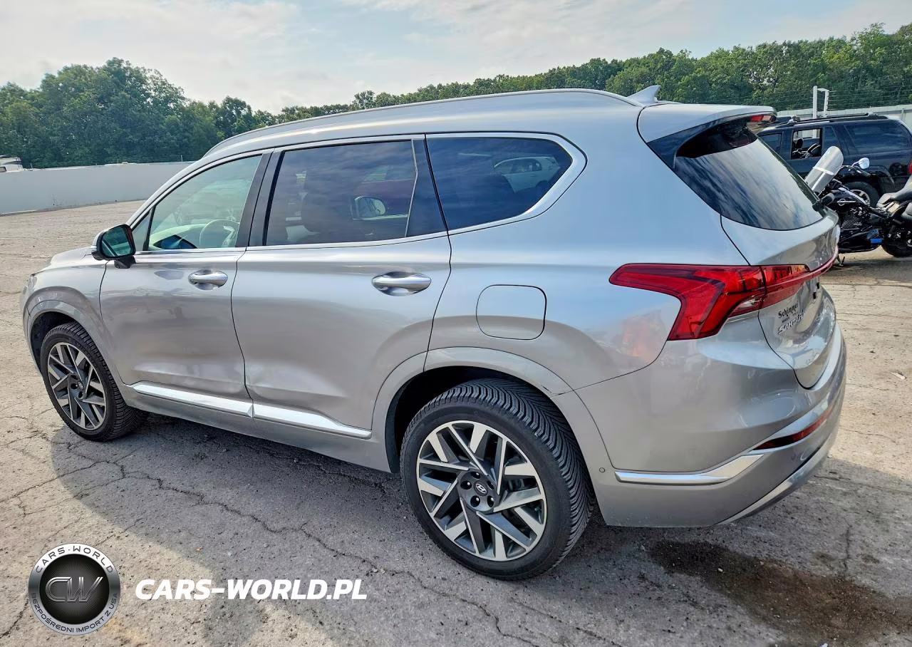 2021 Hyundai Santa Fe Calligraphy VIN:5NMS5DAL7MH365646 - 2