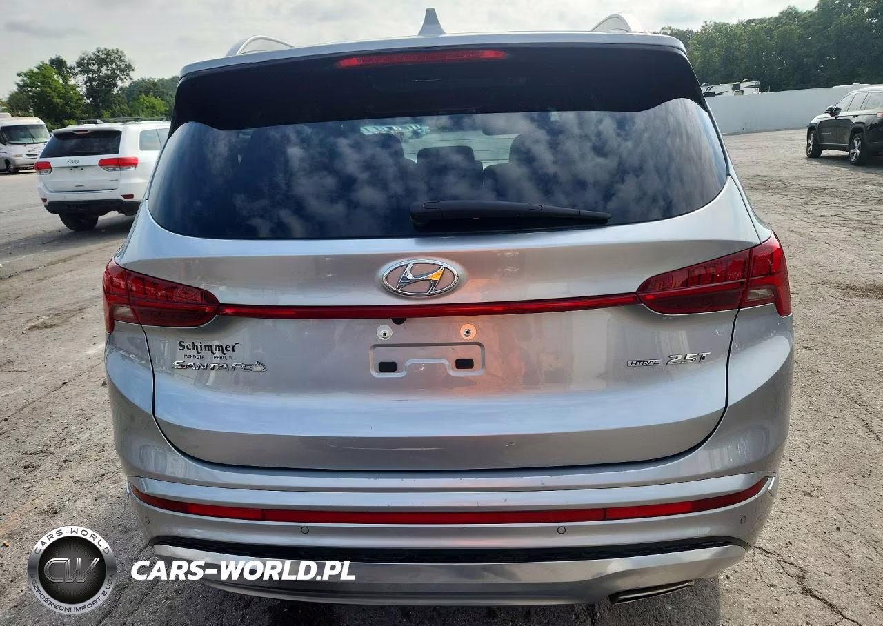 2021 Hyundai Santa Fe Calligraphy VIN:5NMS5DAL7MH365646 - 6