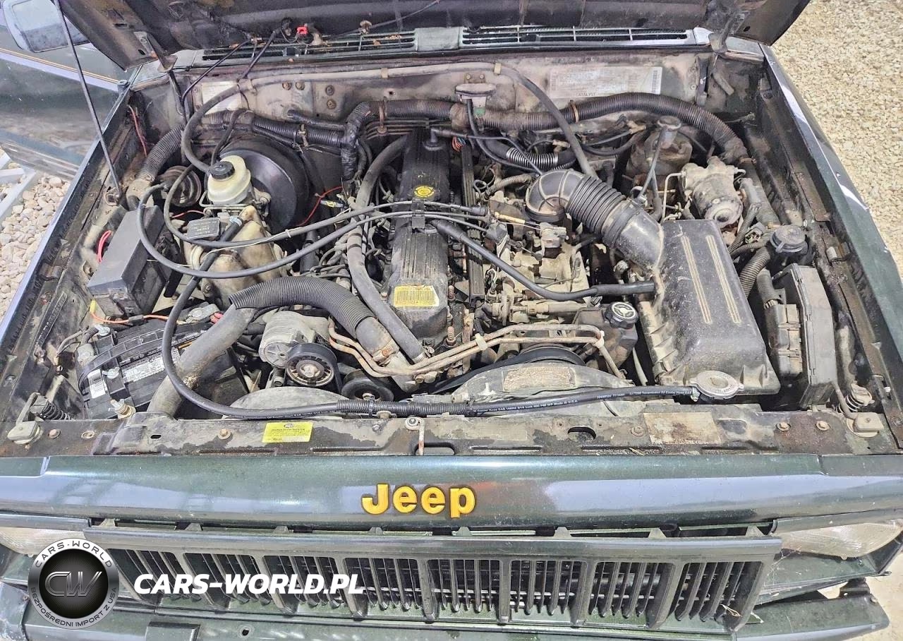 1995 Jeep Cherokee Limited(Export) VIN:1J4FN78S9SL589815 - 12