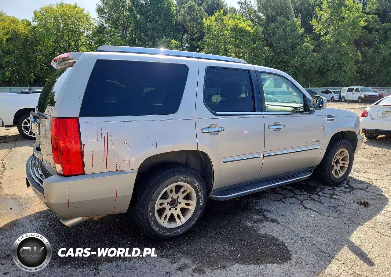 2009 Cadillac Escalade Luxury VIN:1GYFC23259R191301 - 3