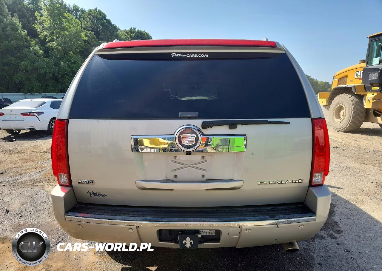 2009 Cadillac Escalade Luxury VIN:1GYFC23259R191301 - 6