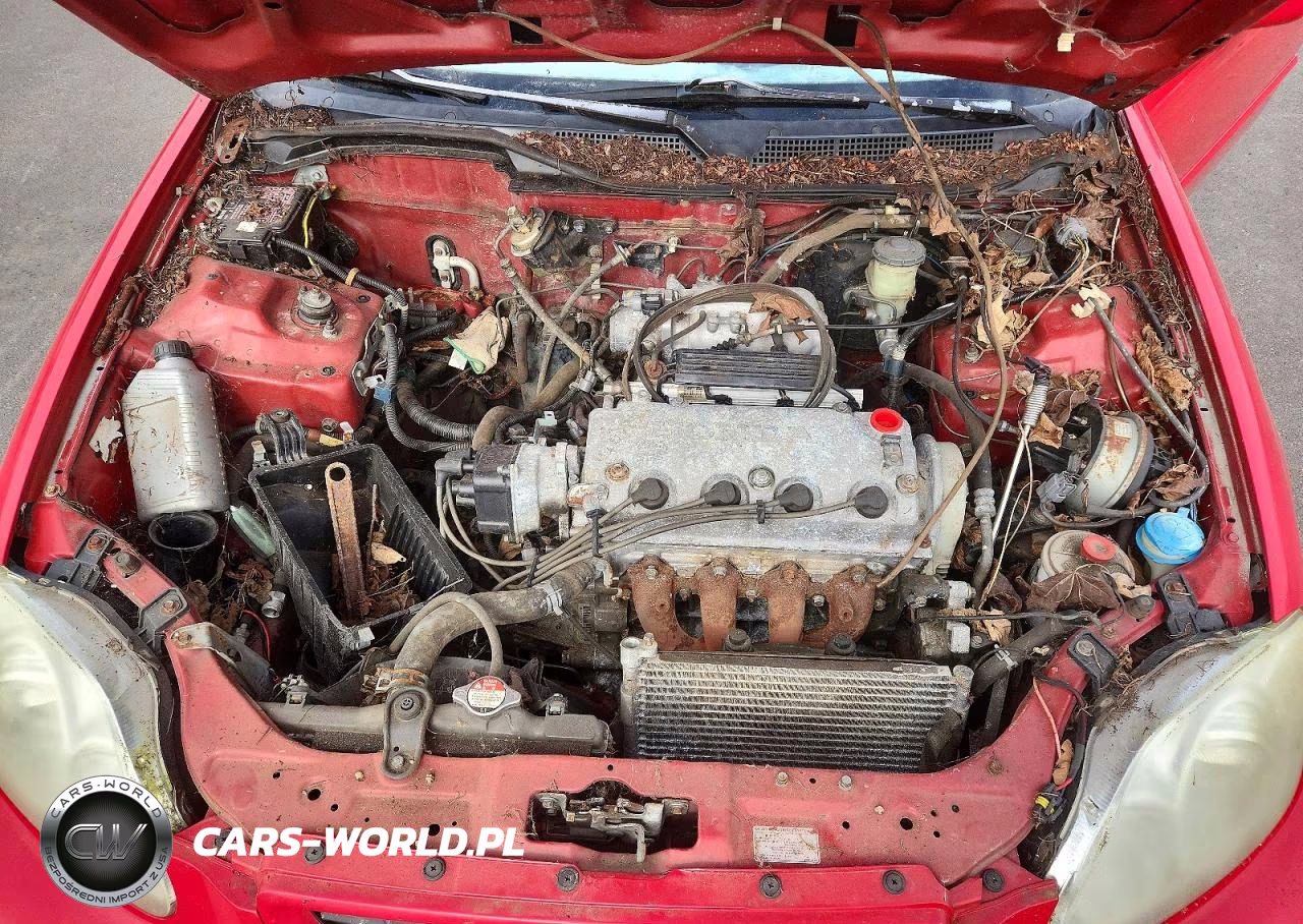 1996 Honda Civic Ex VIN:1HGEJ8142TL078397 - 11