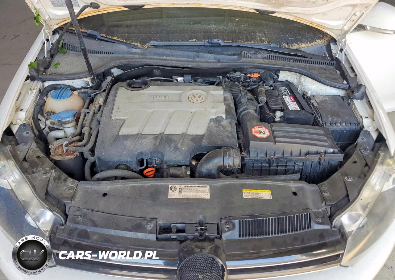 2013 Volkswagen Jetta Tdi VIN:3VWML7AJ0DM693693 - 11
