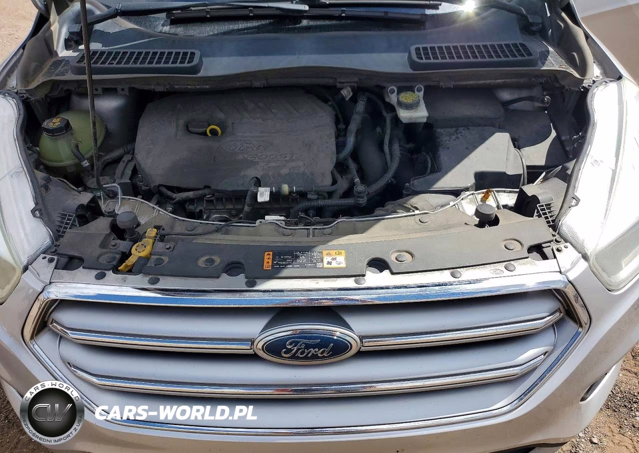 2017 Ford Escape Se VIN:1FMCU0GD5HUE39902 - 12