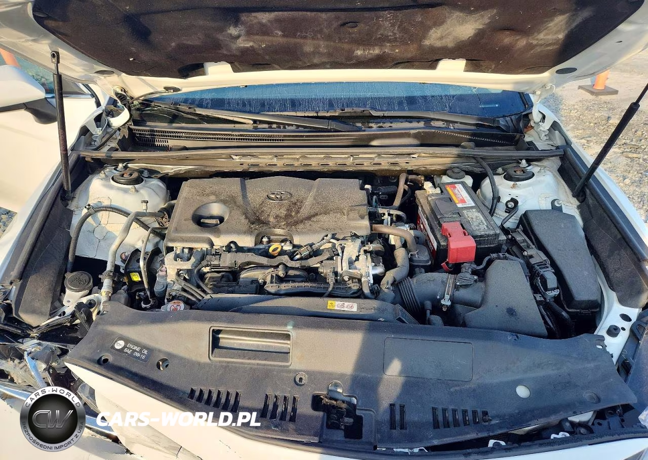 2019 Toyota Camry Le VIN:4T1B11HK0KU203673 - 11