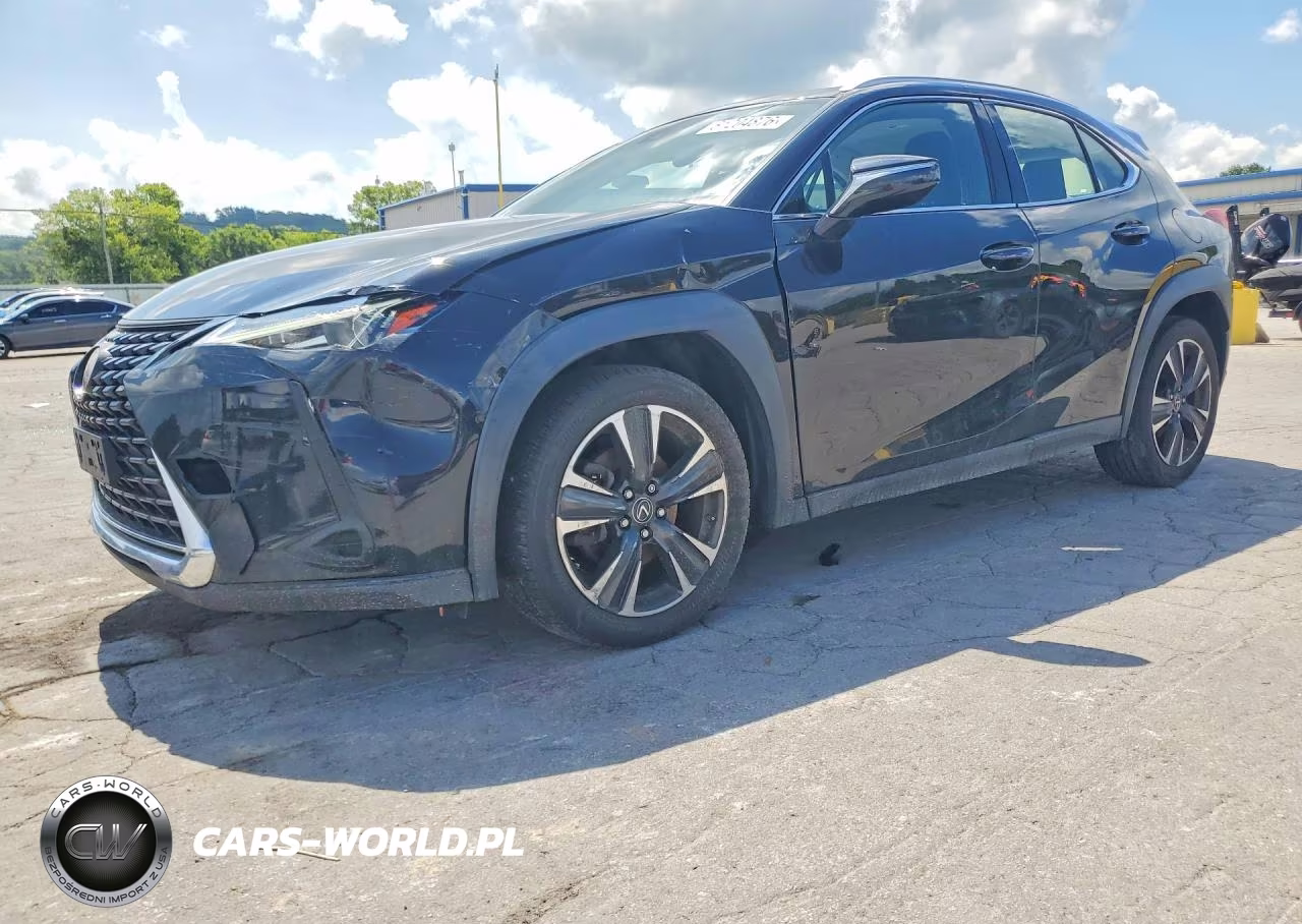 2019 Lexus Ux 200