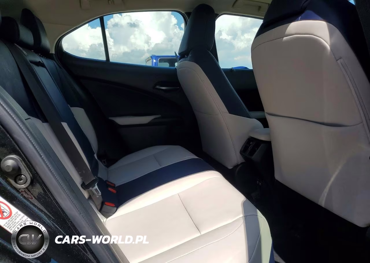 2019 Lexus Ux 200 VIN:JTHY3JBH1K2006253 - 10