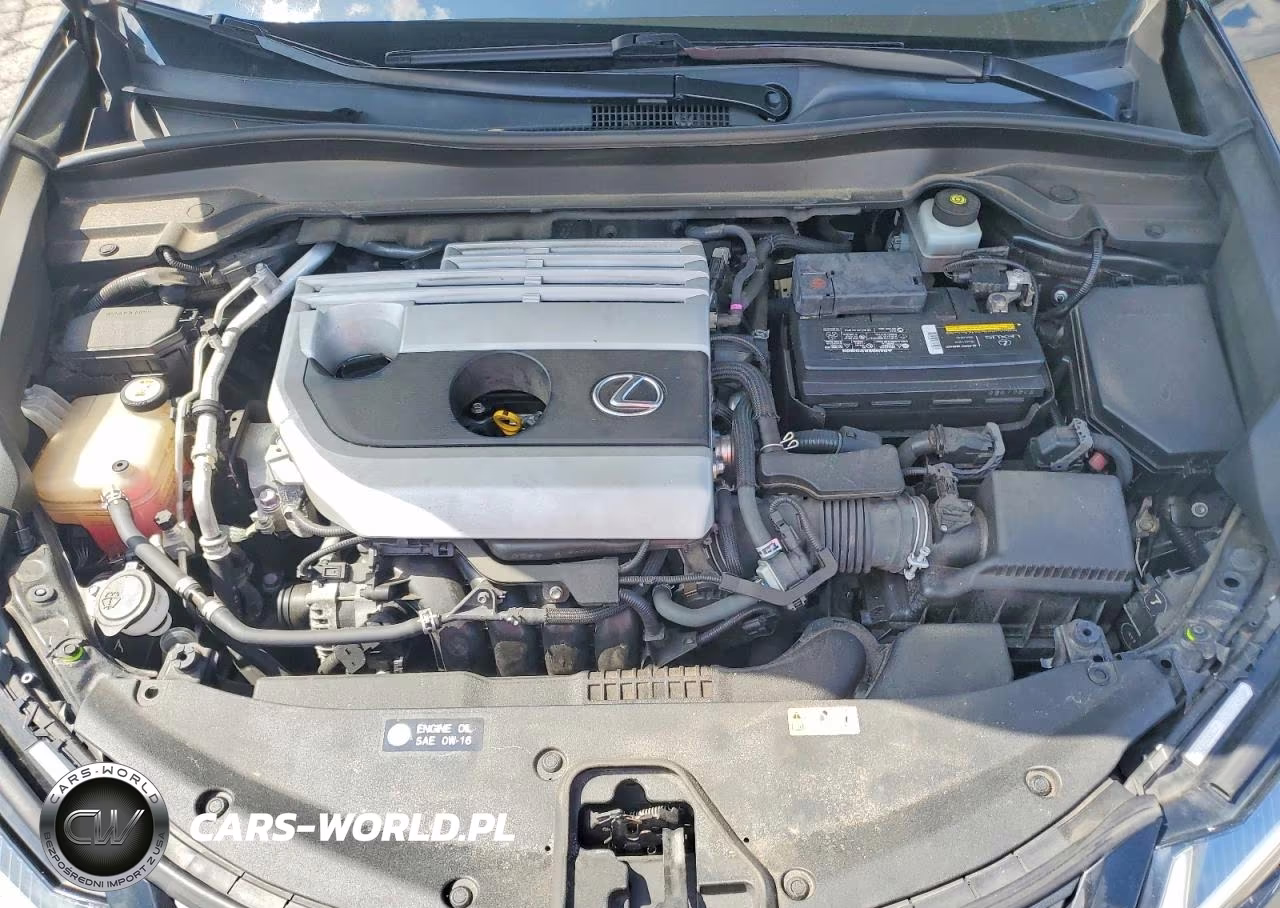 2019 Lexus Ux 200 VIN:JTHY3JBH1K2006253 - 11
