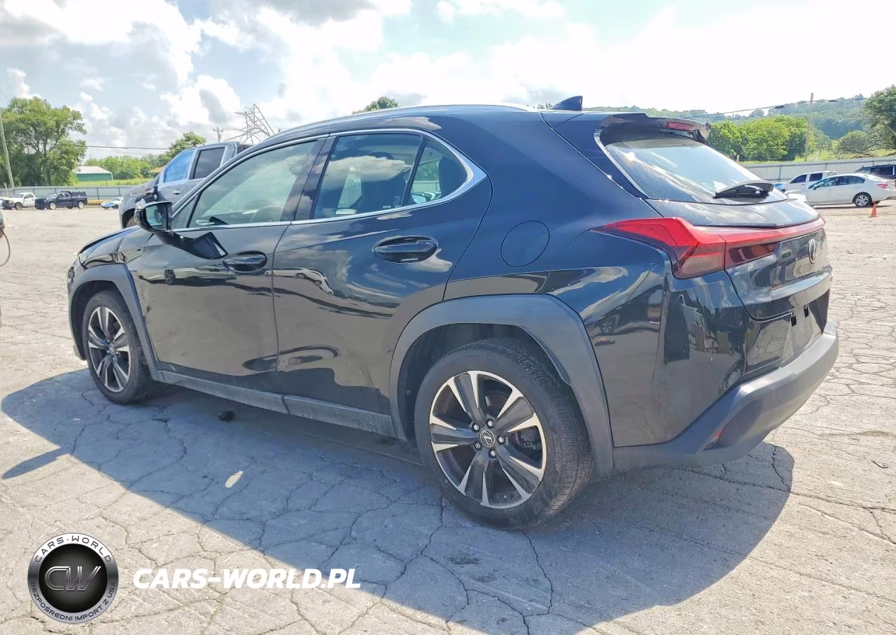 2019 Lexus Ux 200 VIN:JTHY3JBH1K2006253 - 2