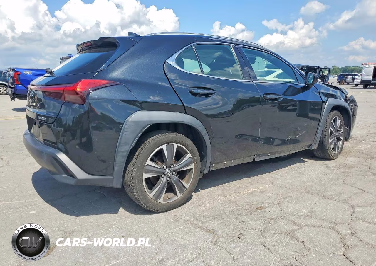 2019 Lexus Ux 200 VIN:JTHY3JBH1K2006253 - 3