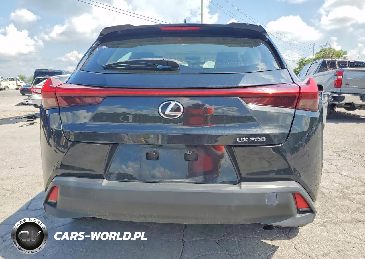 2019 Lexus Ux 200 VIN:JTHY3JBH1K2006253 - 6