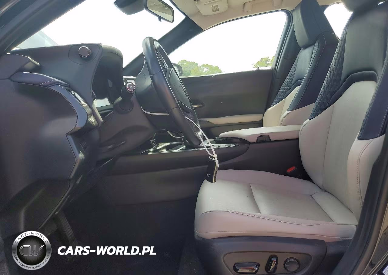 2019 Lexus Ux 200 VIN:JTHY3JBH1K2006253 - 7