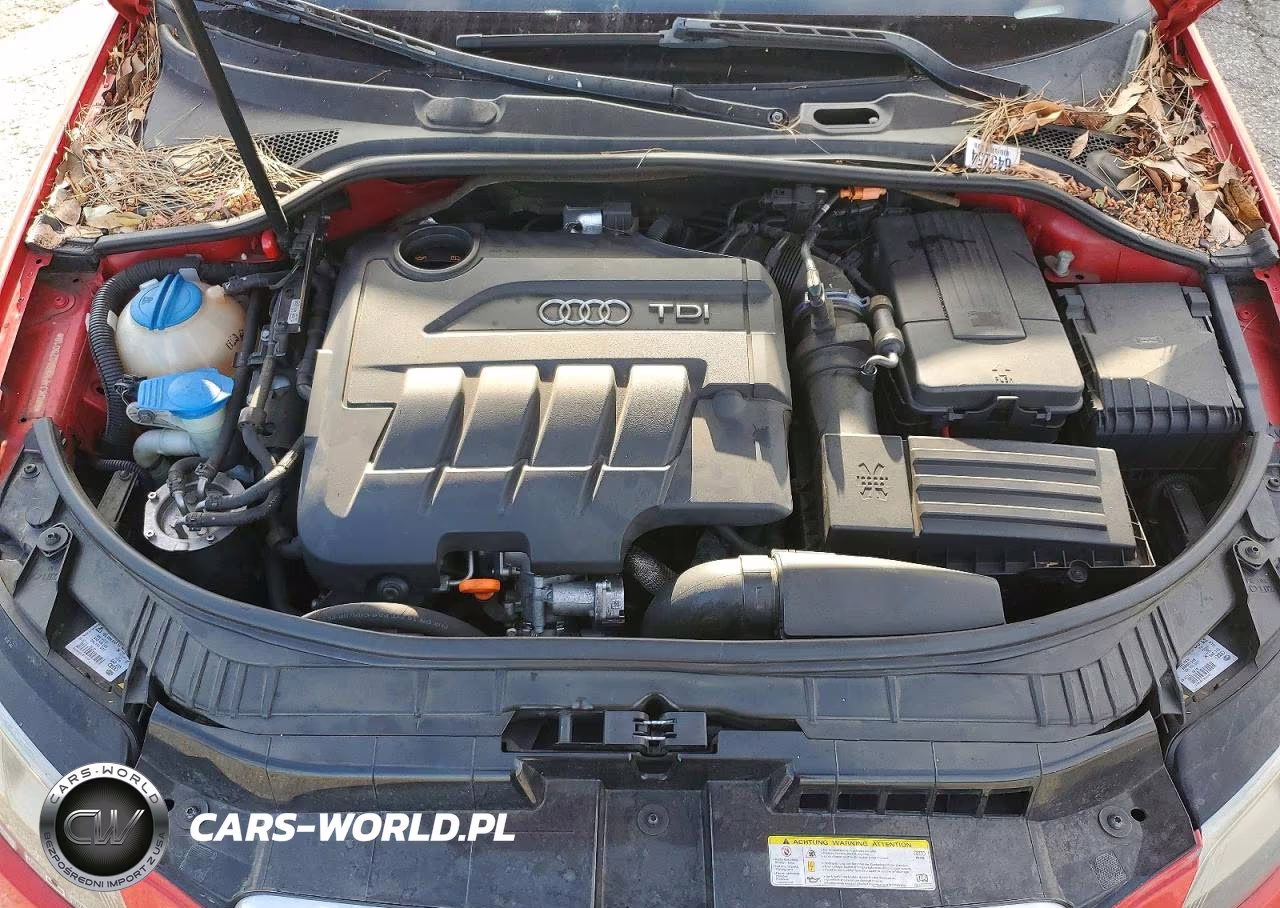 2013 Audi A3 Premium Plus VIN:WAUKJAFMXDA028018 - 11