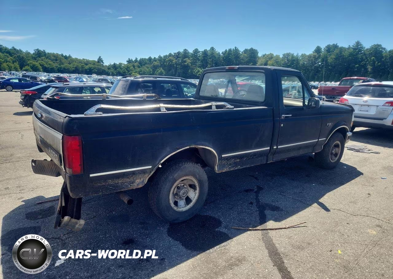 1994 Ford F150 VIN:2FTEF15N7RCA73127 - 3