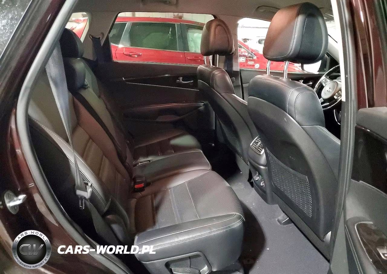 2016 Kia Sorento Ex VIN:5XYPH4A14GG034758 - 10