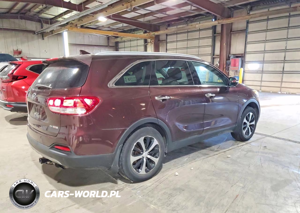 2016 Kia Sorento Ex VIN:5XYPH4A14GG034758 - 3