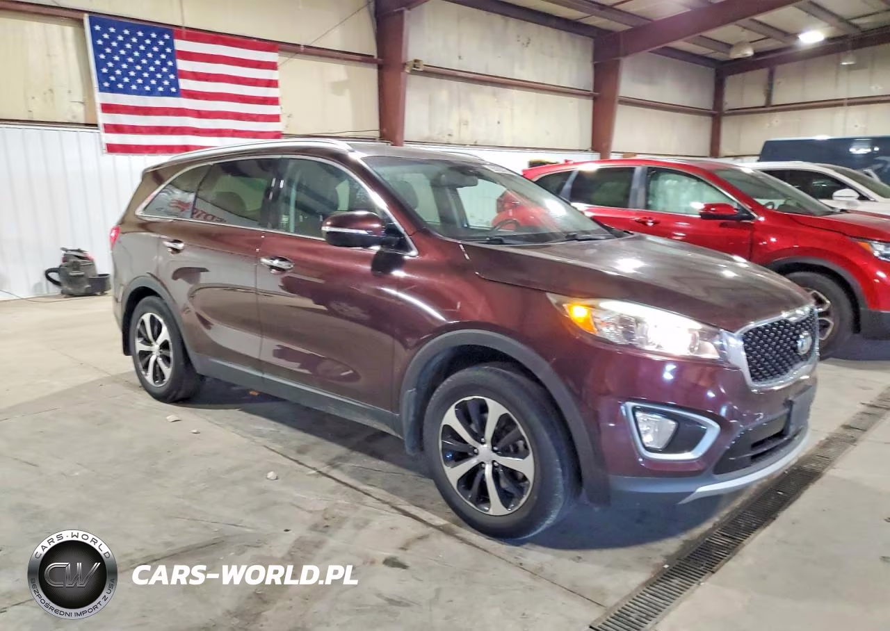 2016 Kia Sorento Ex VIN:5XYPH4A14GG034758 - 4