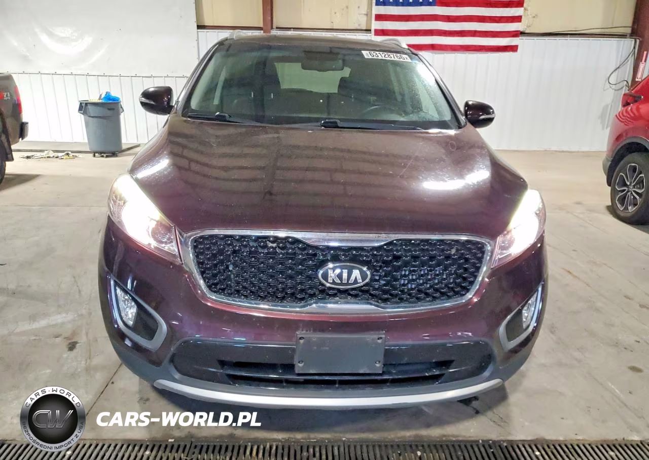 2016 Kia Sorento Ex VIN:5XYPH4A14GG034758 - 5