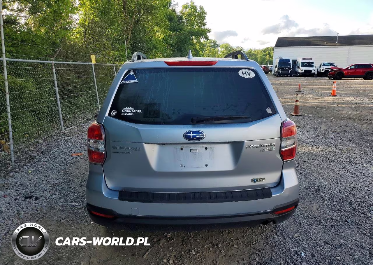 2016 Subaru Forester 2.5I Premium VIN:JF2SJADC3GH438301 - 6
