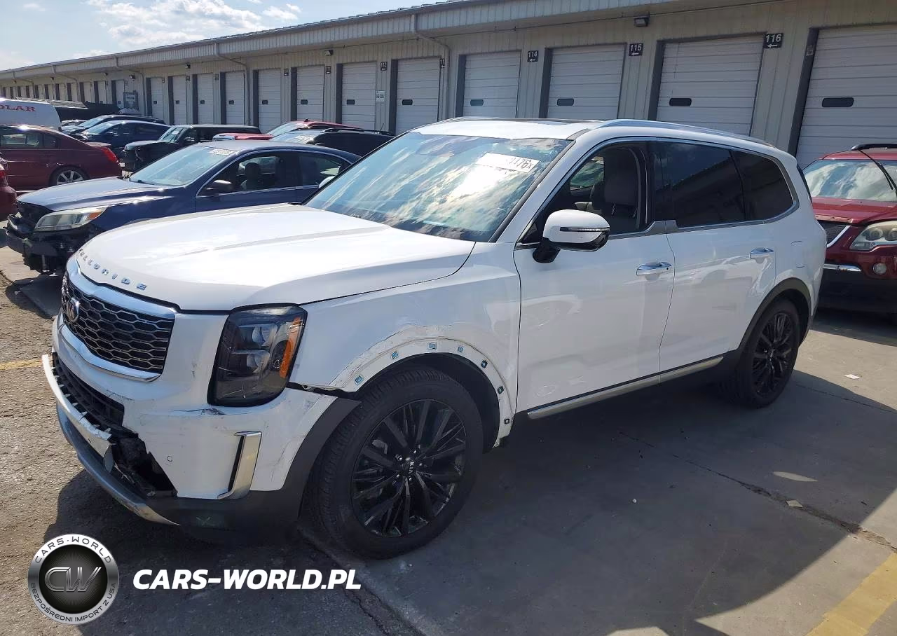 2020 Kia Telluride Sx VIN:5XYP5DHC1LG051012 - 1