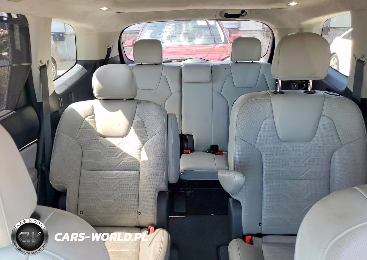 2020 Kia Telluride Sx VIN:5XYP5DHC1LG051012 - 10