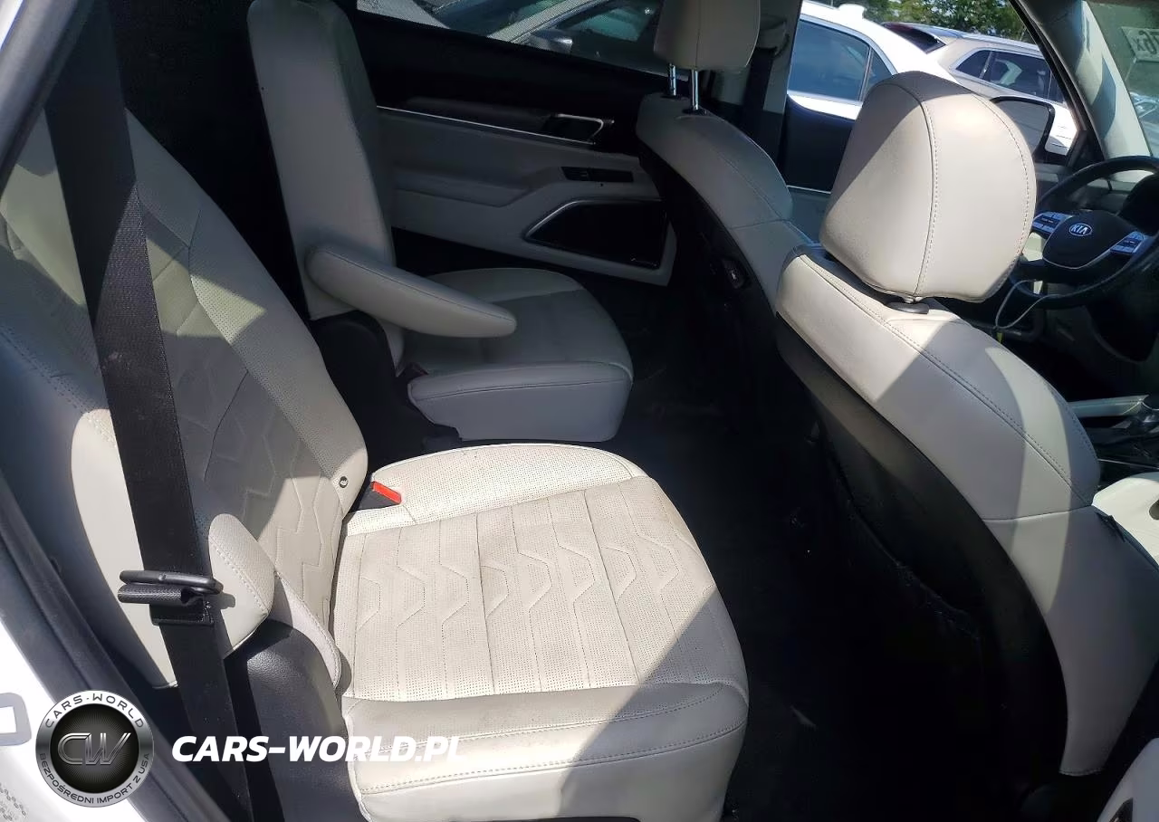 2020 Kia Telluride Sx VIN:5XYP5DHC1LG051012 - 11